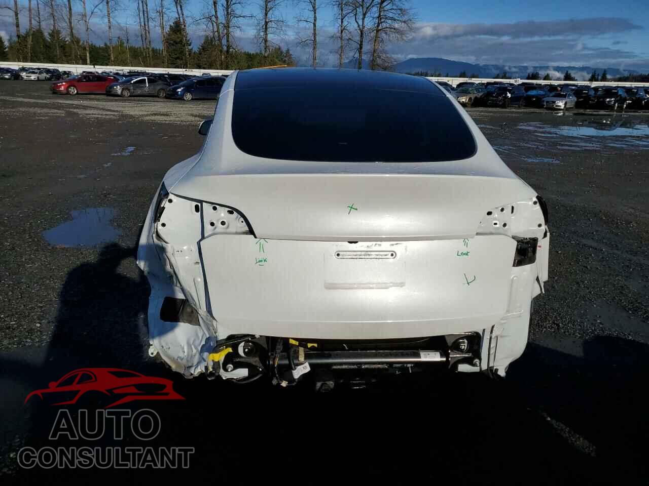 TESLA MODEL Y 2022 - 7SAYGDEE2NF458516