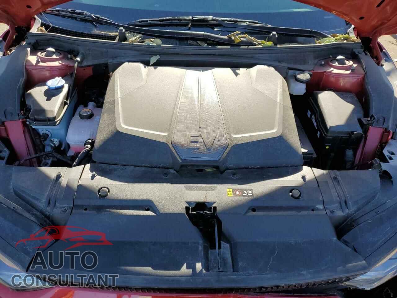 KIA EV6 LIGHT 2024 - KNDC3DLC1R5171745