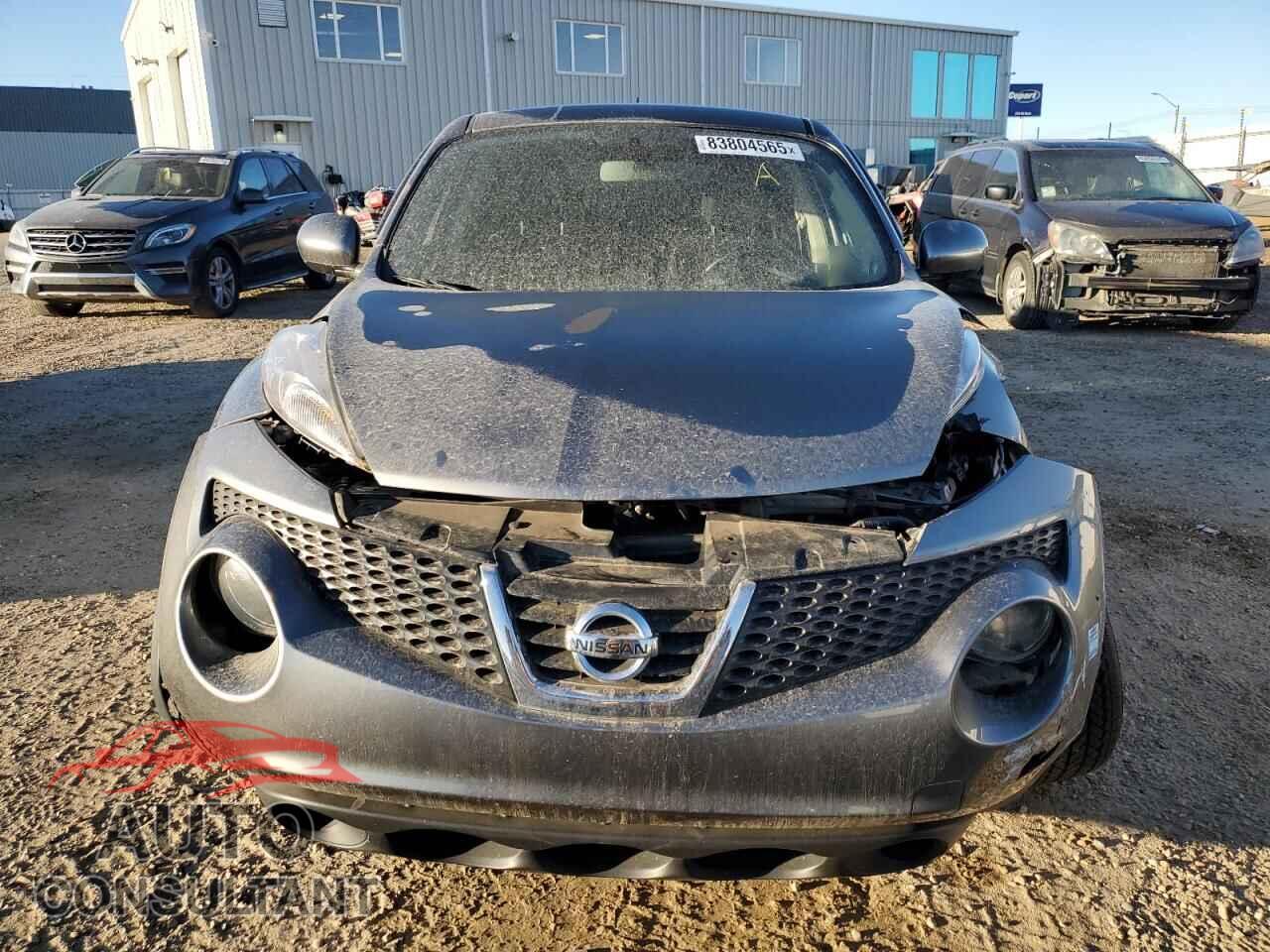 NISSAN JUKE 2011 - JN8AF5MV9BT021635
