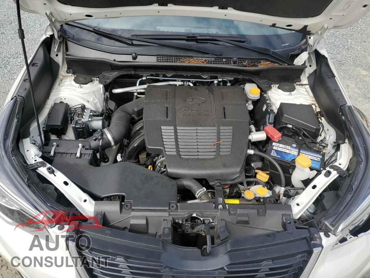 SUBARU FORESTER 2019 - JF2SKAGC6KH570857