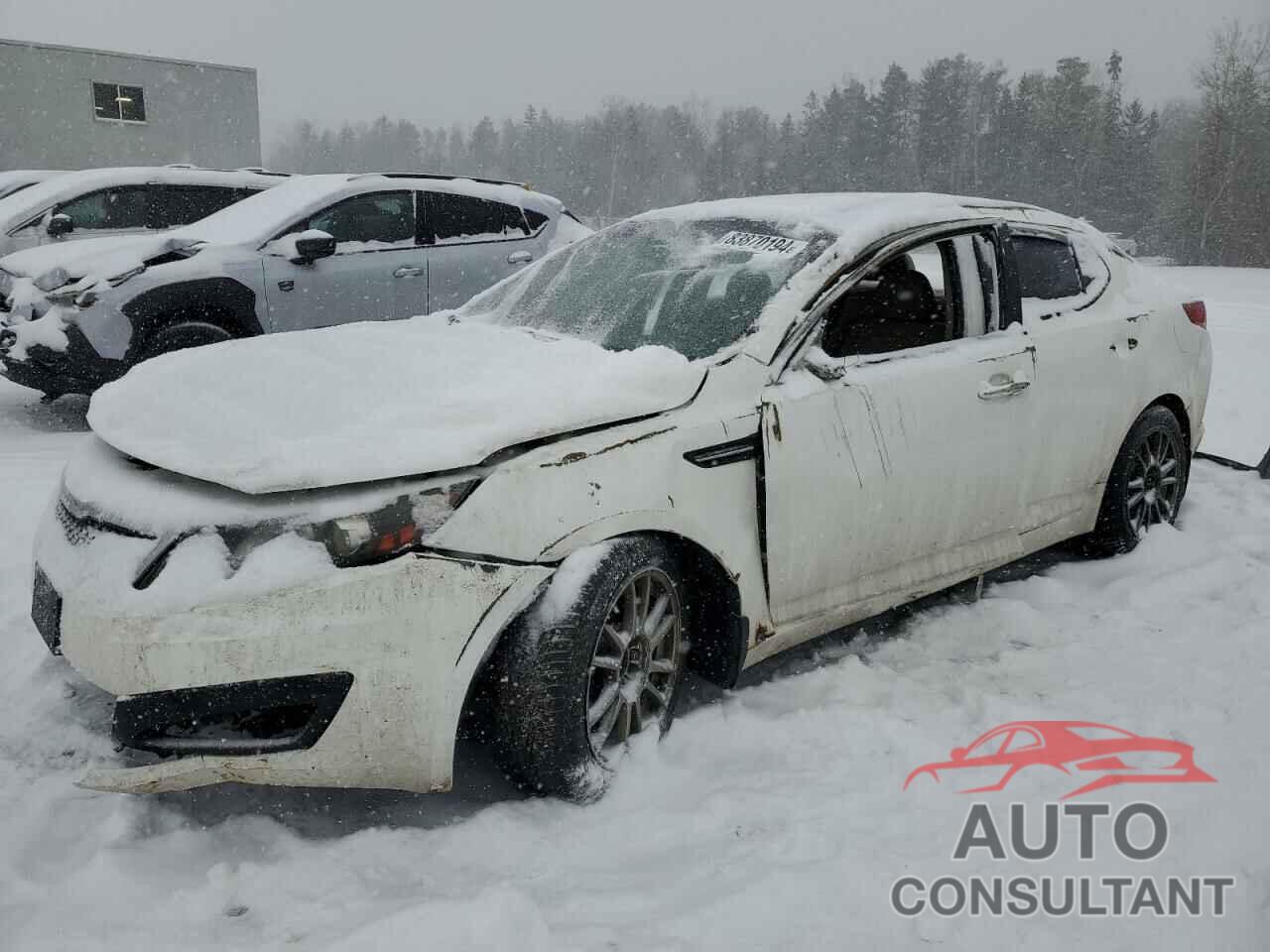 KIA OPTIMA 2011 - KNAGN4A75B5146089