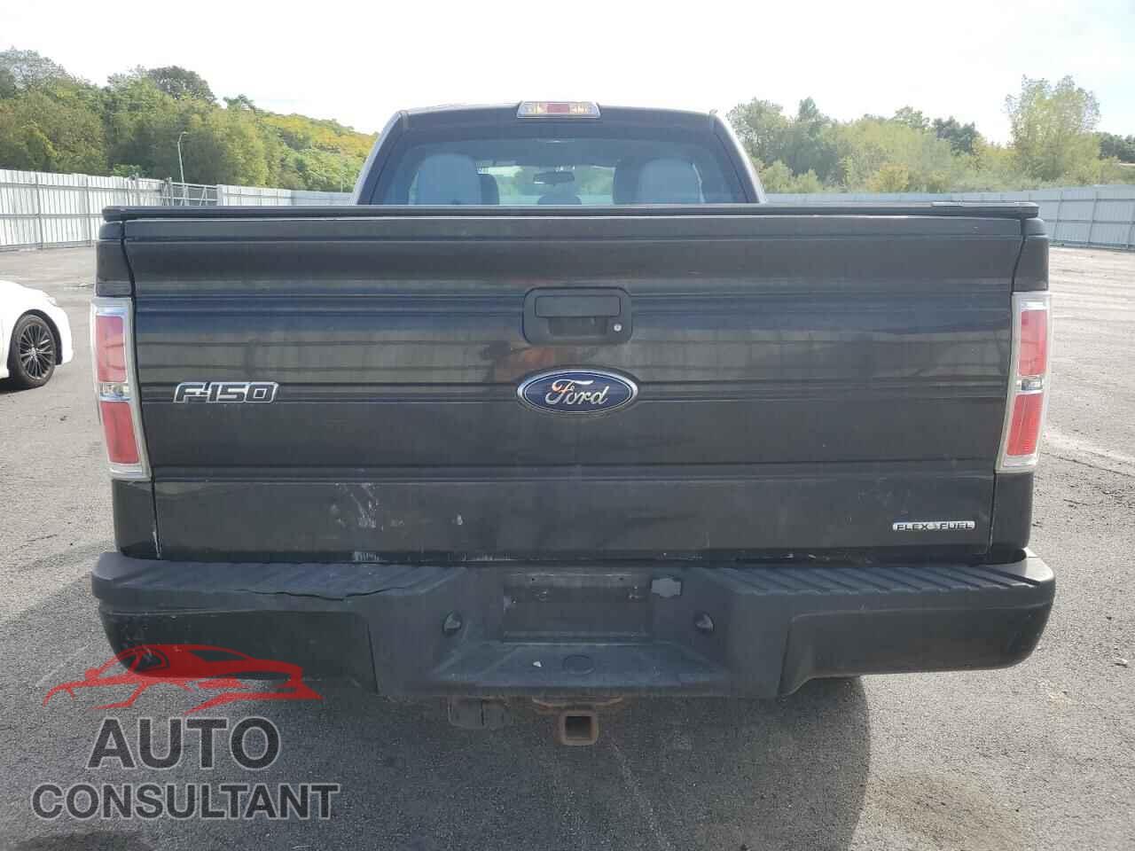 FORD F-150 2013 - 1FTFX1EF9DFD72982