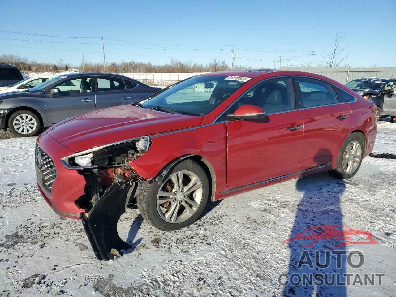 HYUNDAI SONATA 2019 - 5NPE34AF2KH789281