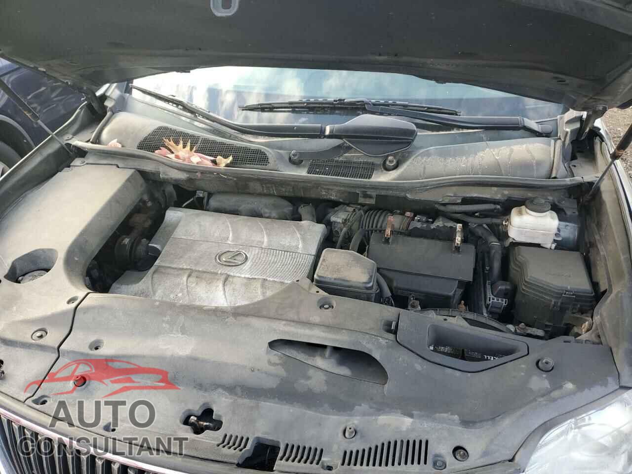LEXUS RX350 2010 - 2T2BK1BA7AC035944