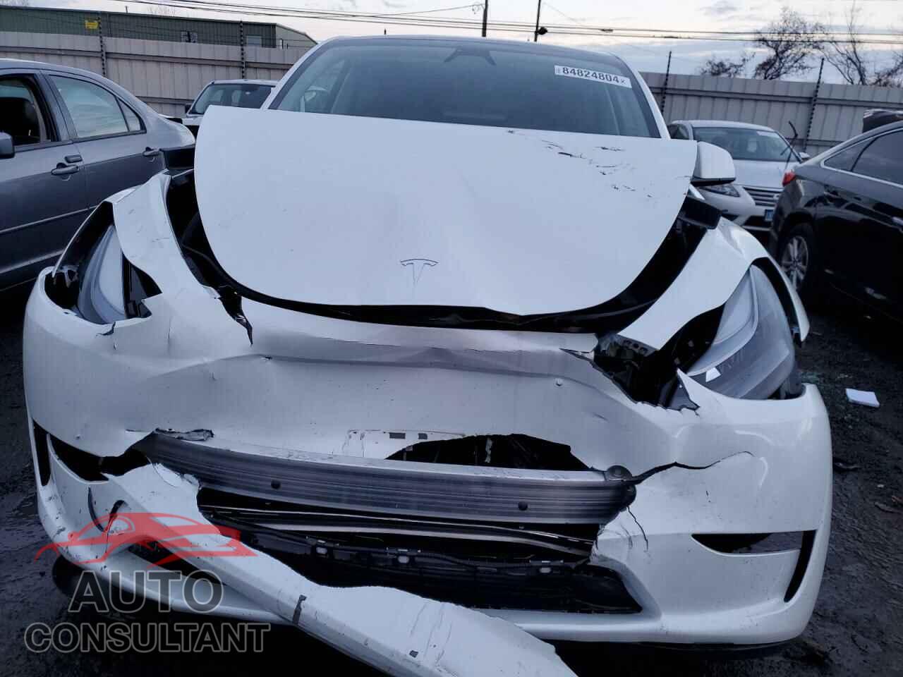 TESLA MODEL Y 2024 - 7SAYGDED2RF159699