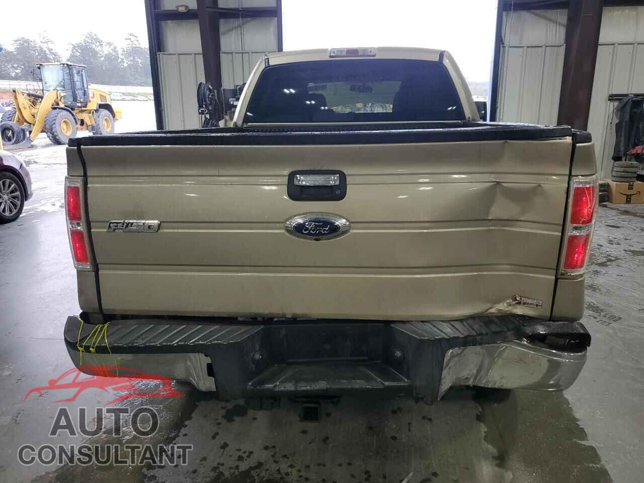 FORD F-150 2010 - 1FTFW1EV7AFB51418
