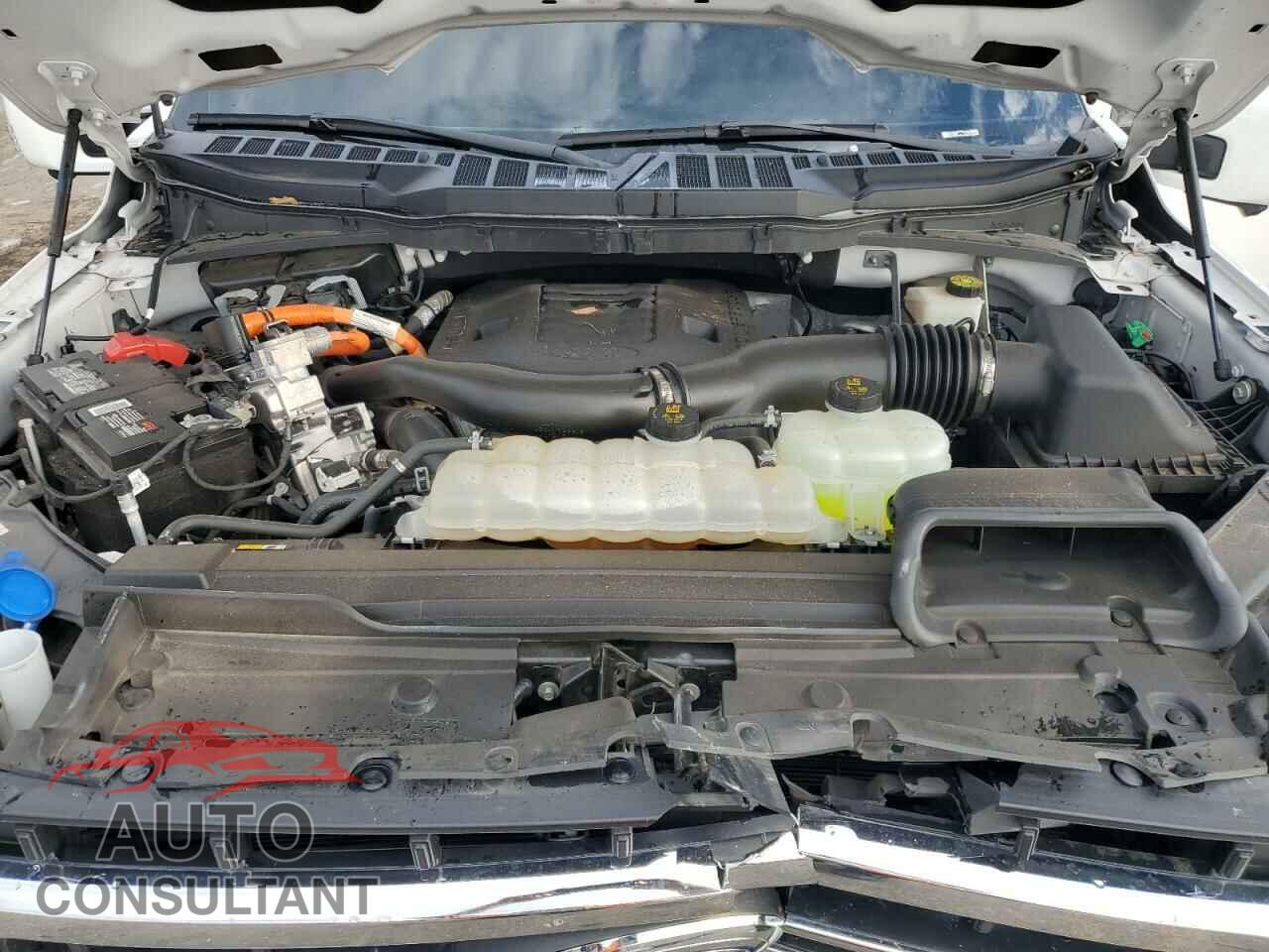FORD F-150 2022 - 1FTFW1ED7NFB56728