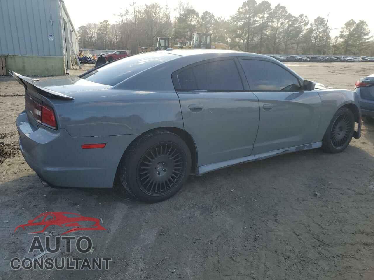 DODGE CHARGER 2014 - 2C3CDXCT3EH104859