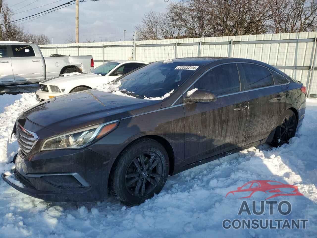 HYUNDAI SONATA 2016 - 5NPE24AF5GH355043