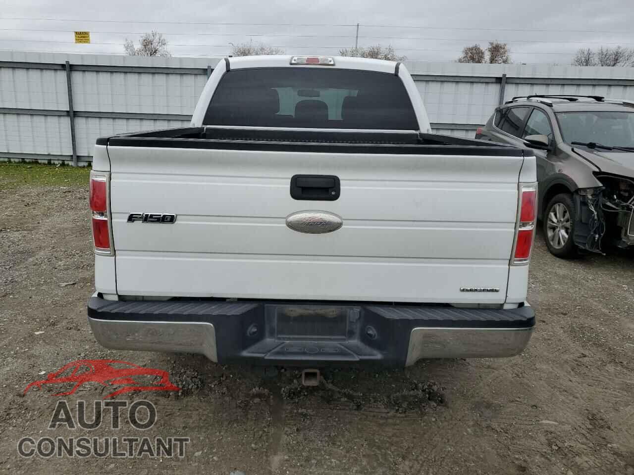 FORD F-150 2012 - 1FTEW1CM8CFB25810