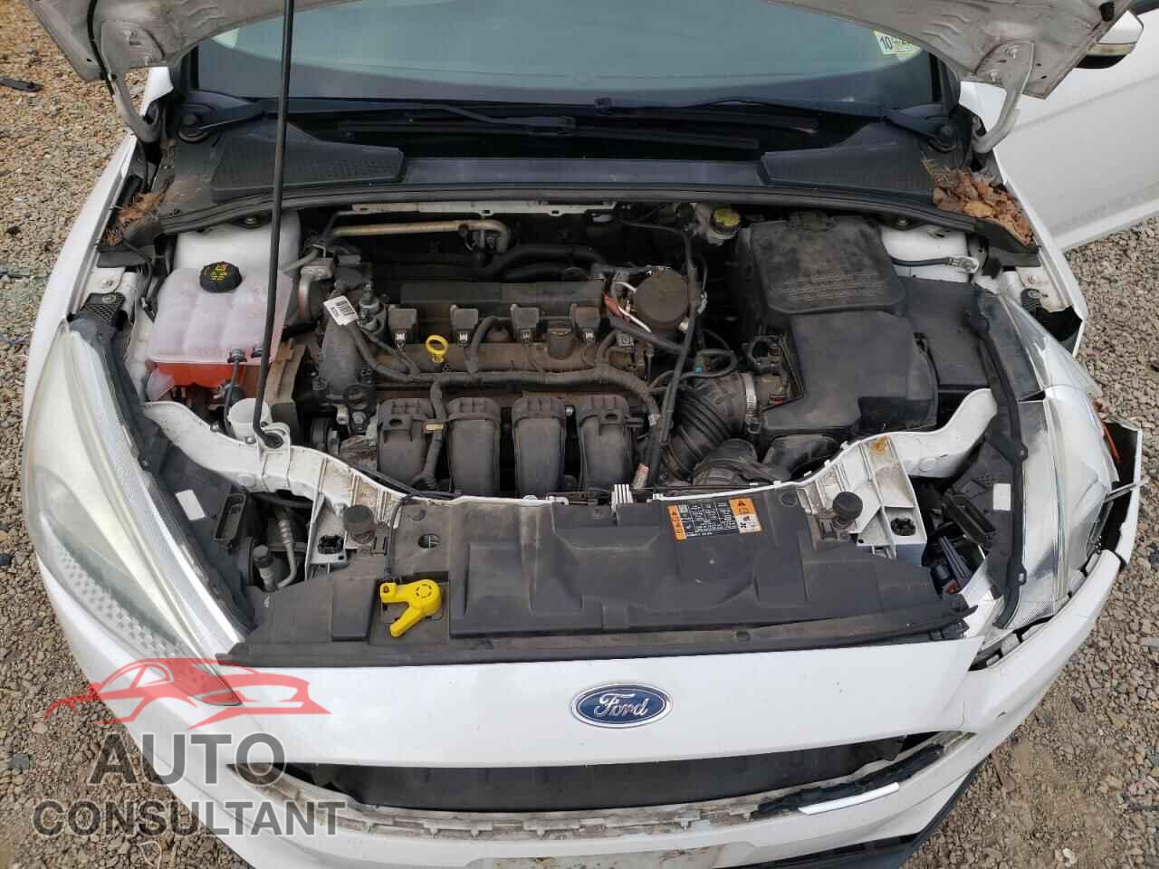 FORD FOCUS 2015 - 1FADP3K29FL366632