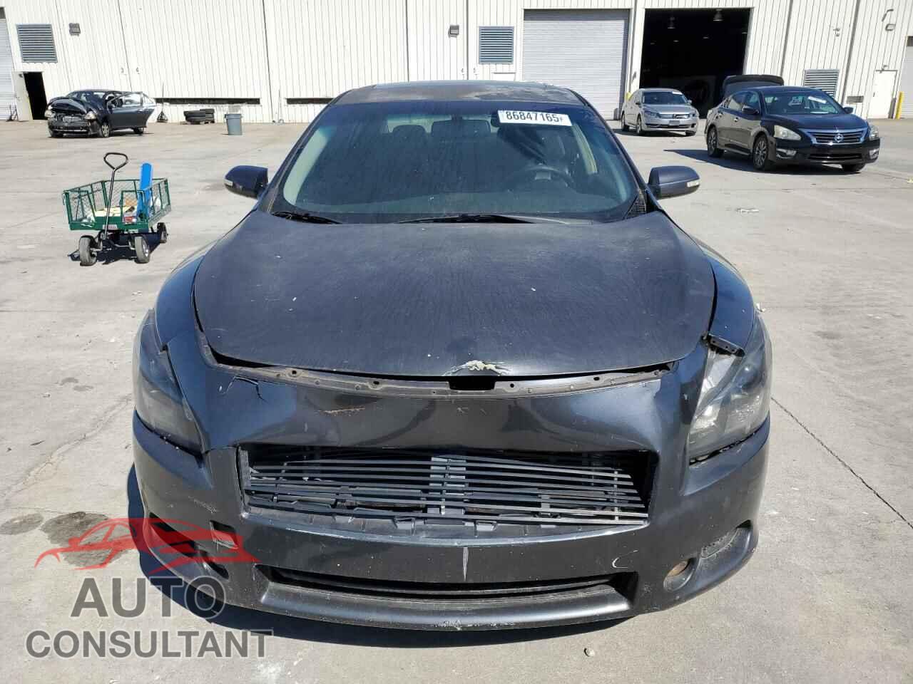 NISSAN MAXIMA 2009 - 1N4AA51E49C857853
