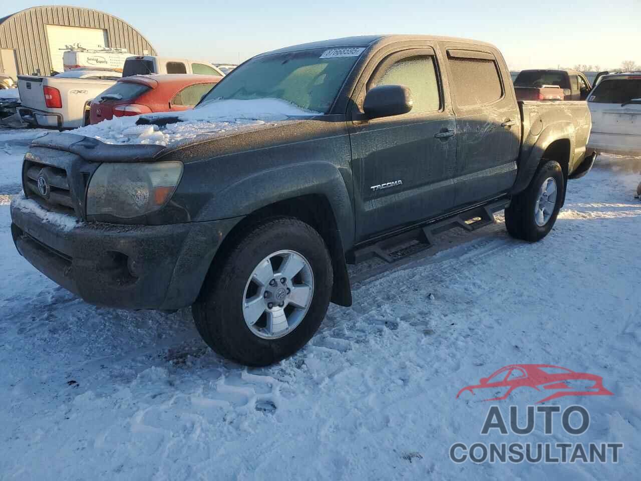 TOYOTA TACOMA 2009 - 3TMLU42NX9M025905