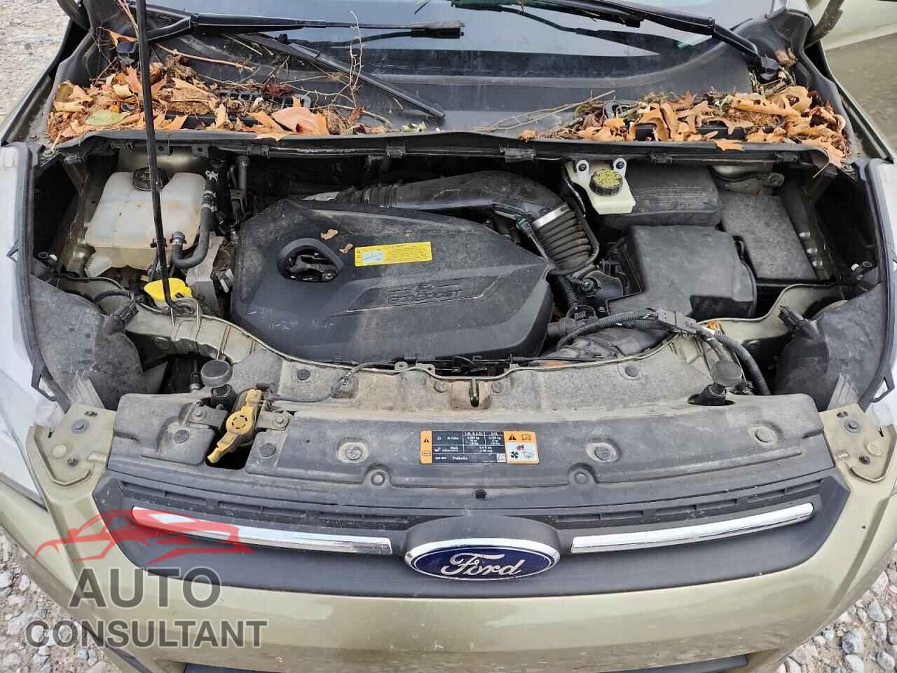 FORD ESCAPE 2014 - 1FMCU9GX9EUB13353