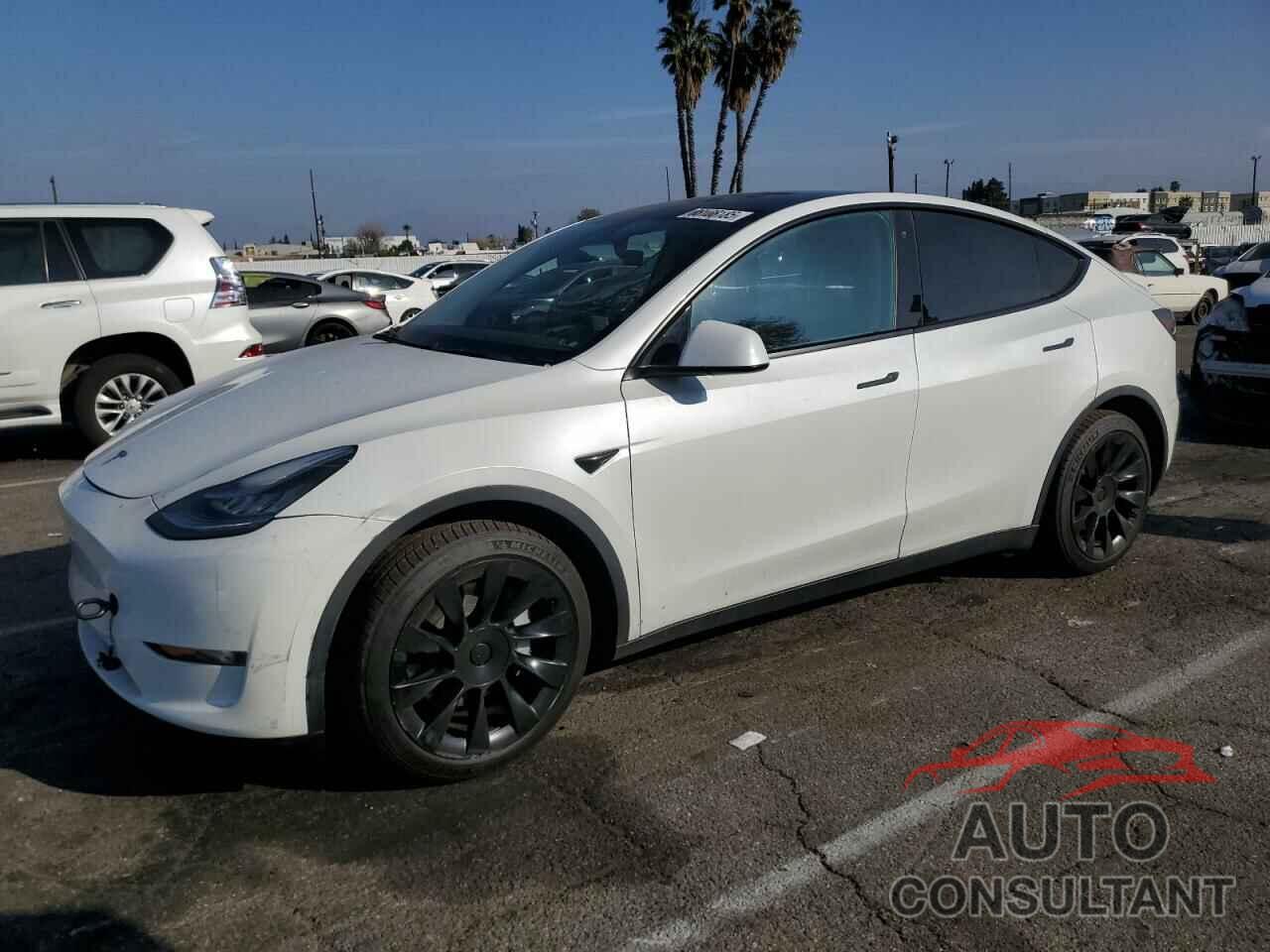 TESLA MODEL Y 2020 - 5YJYGDEE2LF053413