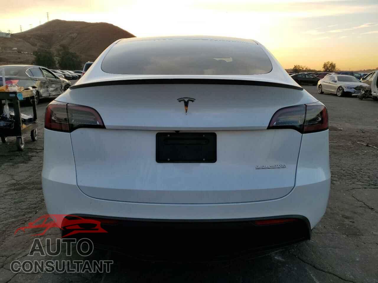 TESLA MODEL Y 2023 - 7SAYGDEF0PF769809