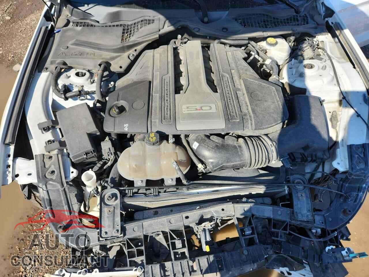 FORD MUSTANG 2019 - 1FA6P8CF0K5151663
