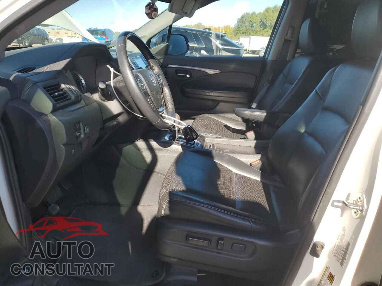 HONDA RIDGELINE 2019 - 5FPYK3F56KB032576