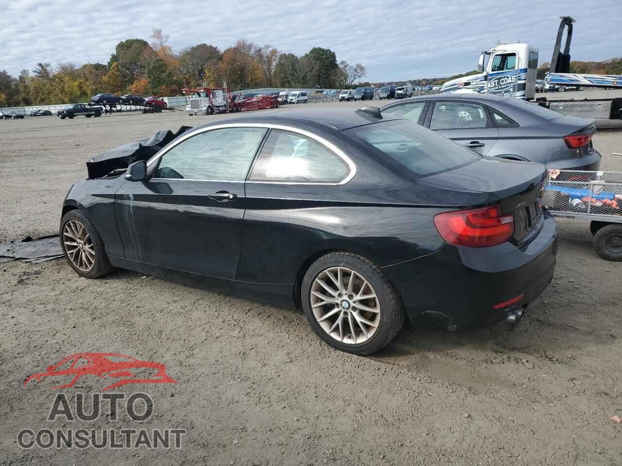 BMW 2 SERIES 2015 - WBA1G9C58FVX96825