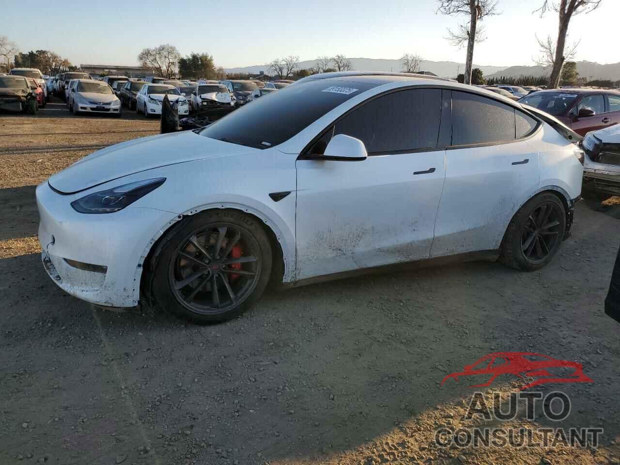 TESLA MODEL Y 2023 - 7SAYGDEFXPF814951