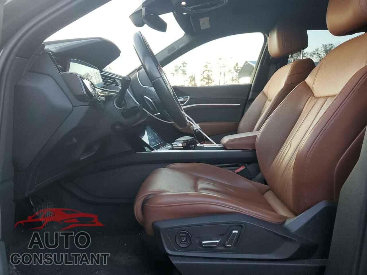 AUDI E-TRON 2019 - WA1VABGE4KB022164