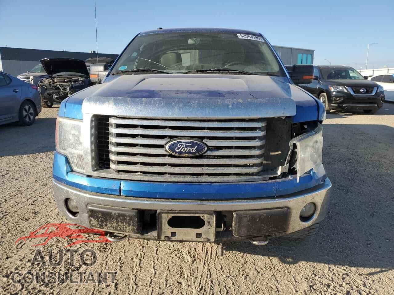 FORD F-150 2010 - 1FTFW1EVXAFA80179