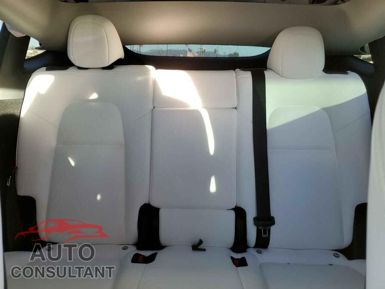 TESLA MODEL Y 2023 - 7SAYGDEE3PF589683
