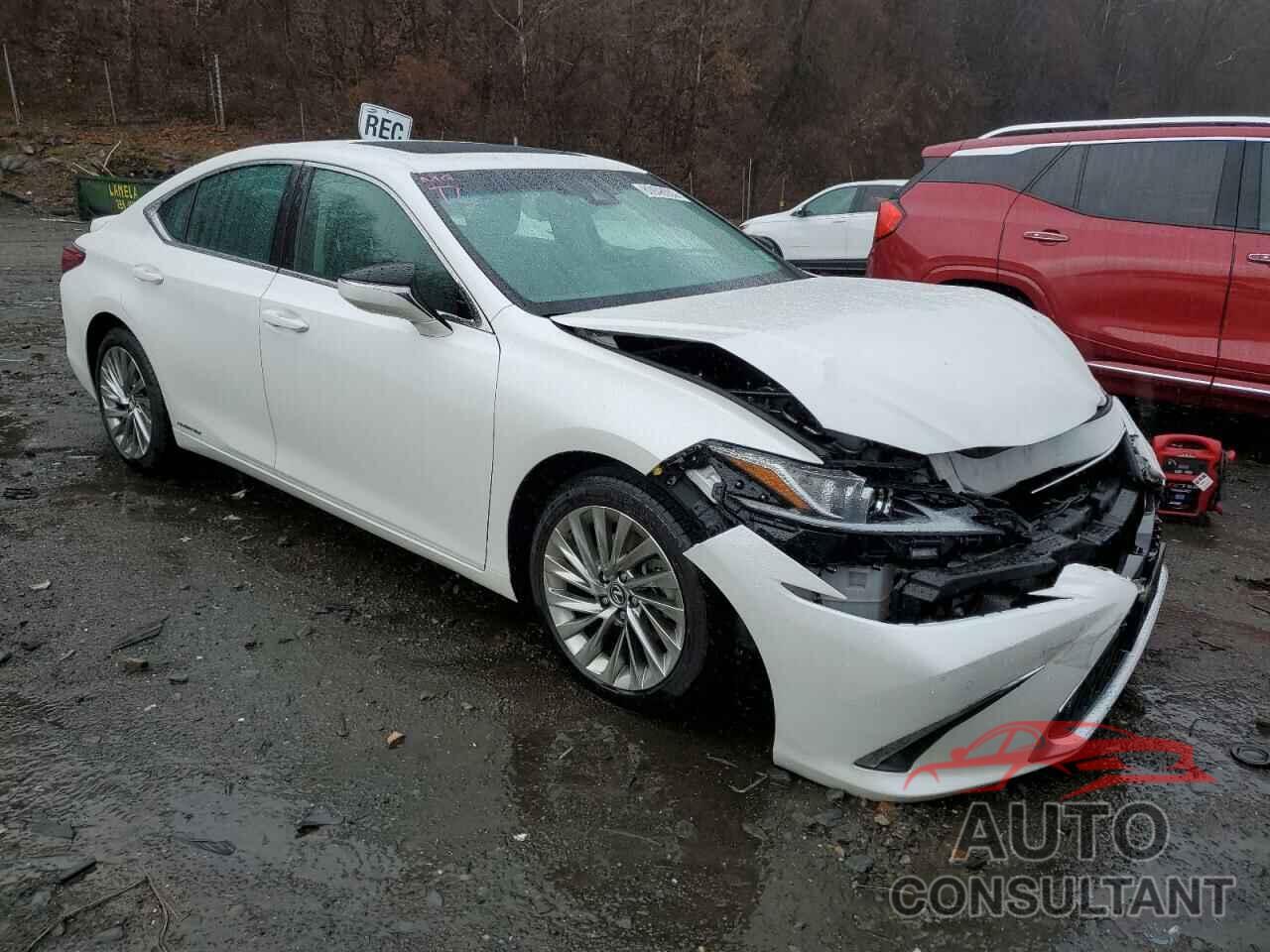 LEXUS ES300 2022 - 58AEA1C15NU020262