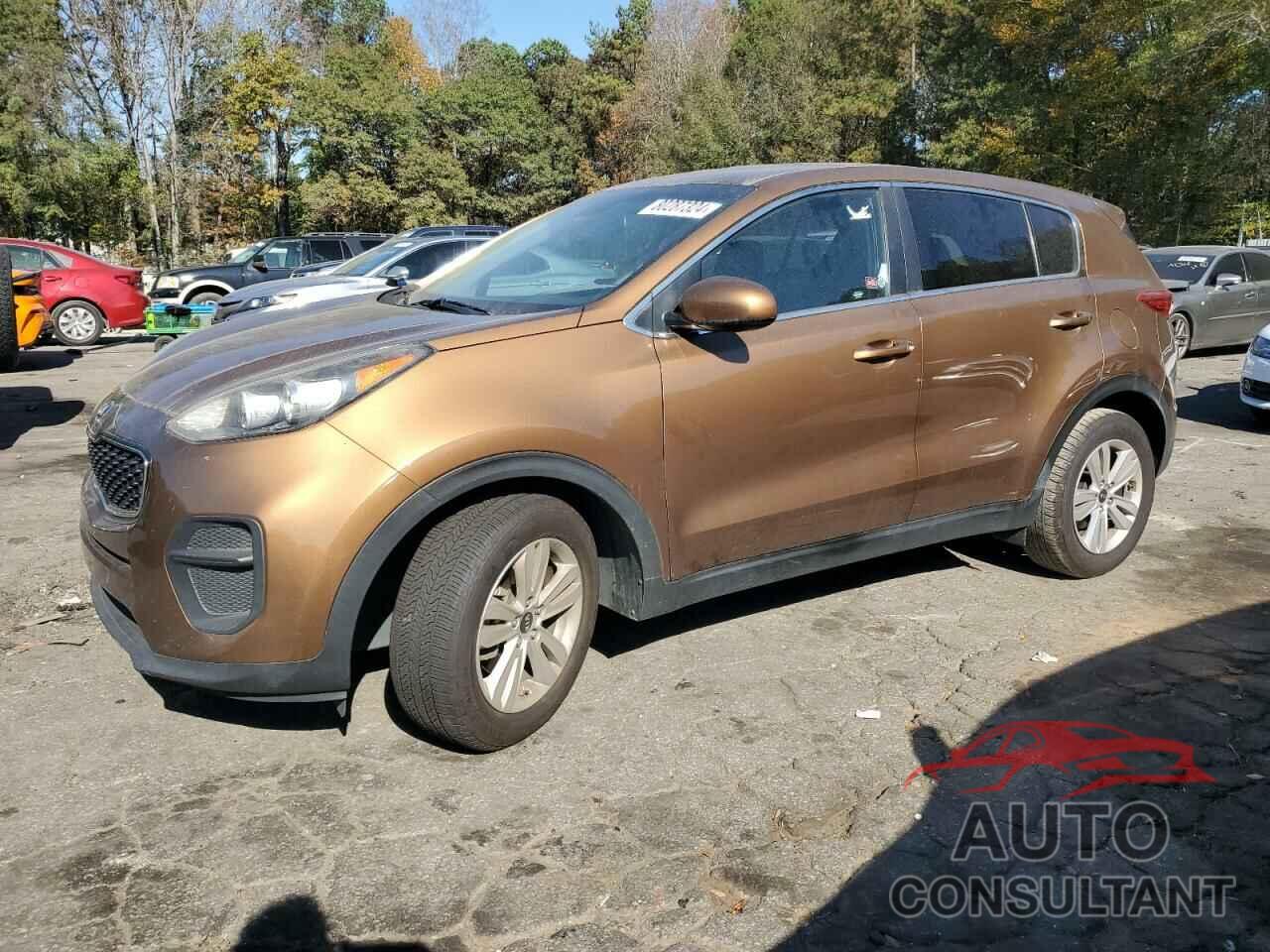 KIA SPORTAGE 2017 - KNDPM3AC6H7110616