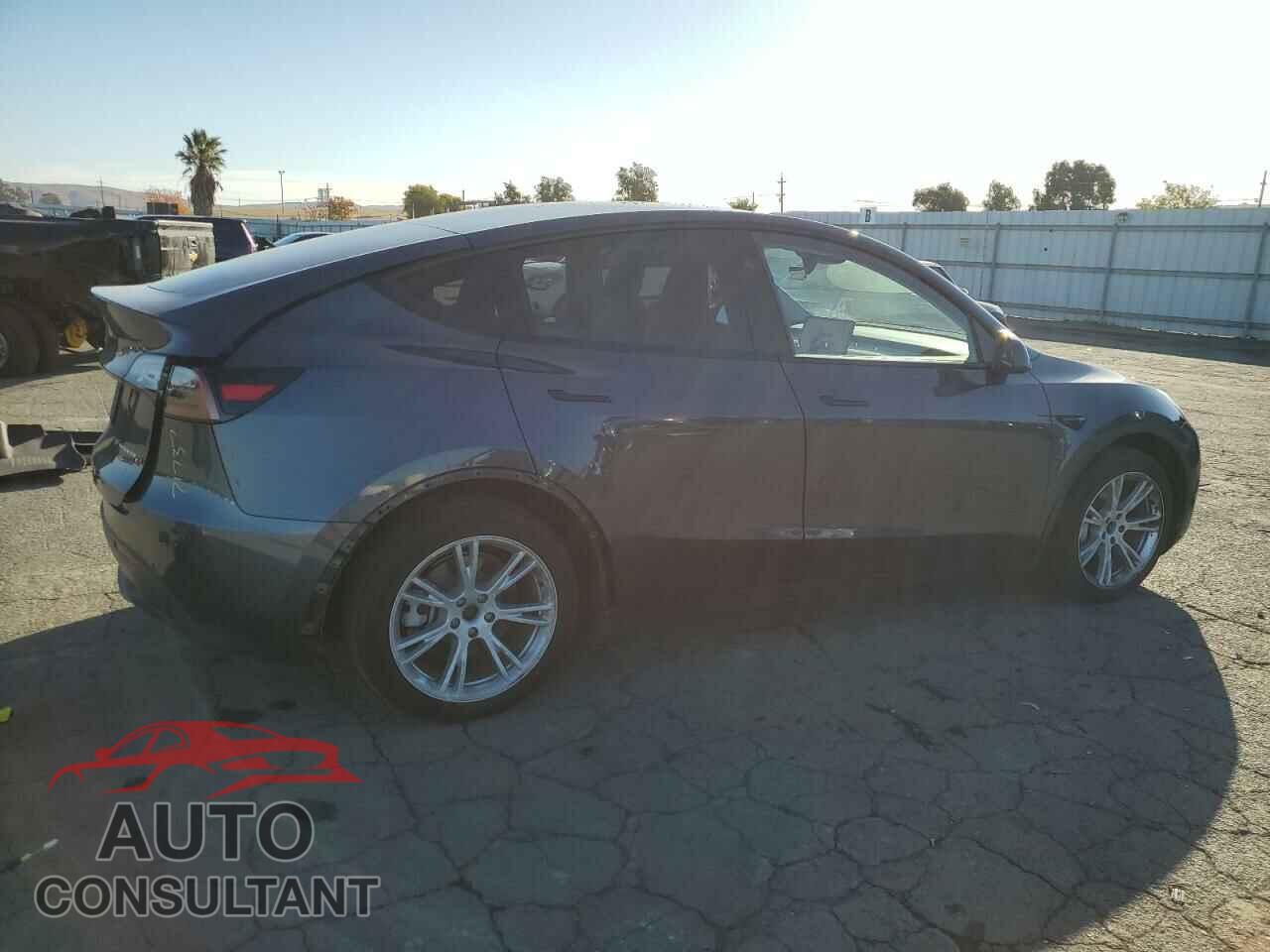 TESLA MODEL Y 2023 - 7SAYGAEE2PF824055