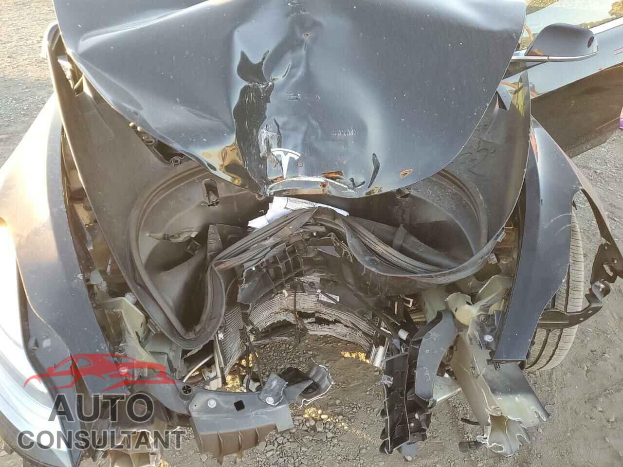 TESLA MODEL 3 2019 - 5YJ3E1EA7KF394672