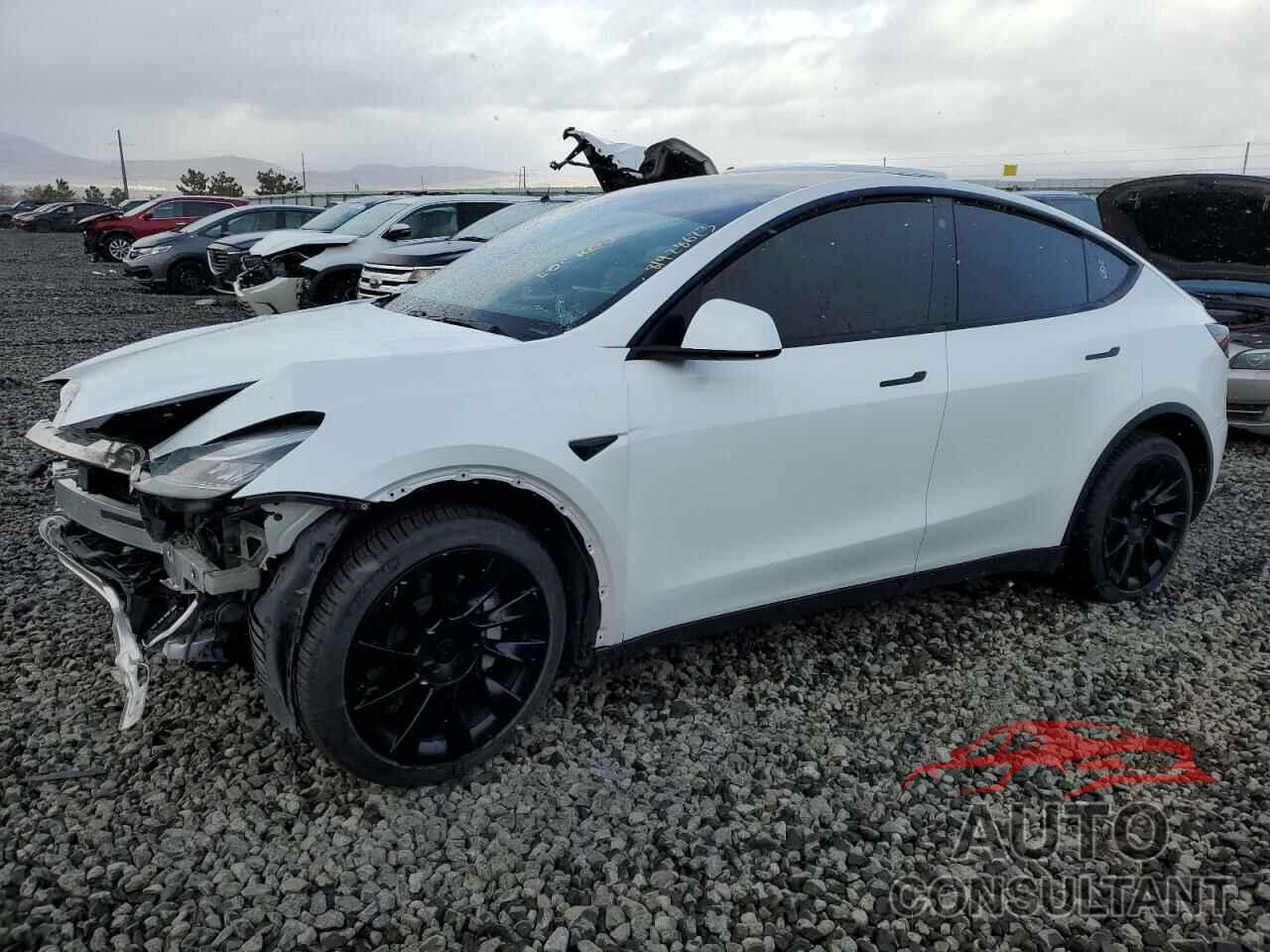 TESLA MODEL Y 2021 - 5YJYGDEEXMF080215