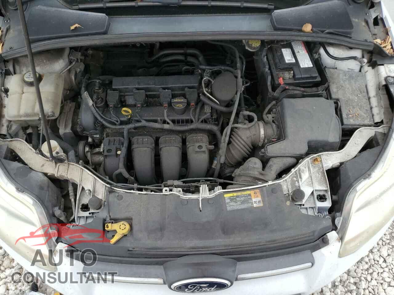 FORD FOCUS 2013 - 1FADP3F21DL171681
