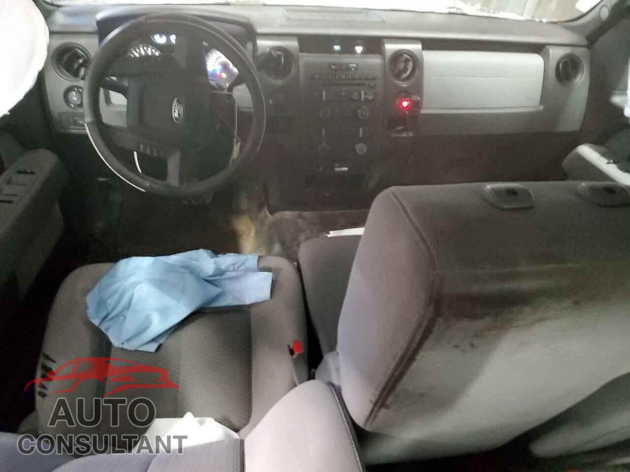 FORD F-150 2013 - 1FTFX1EF9DFD70309