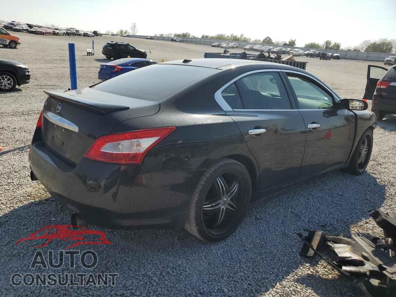 NISSAN MAXIMA 2011 - 1N4AA5AP7BC859524