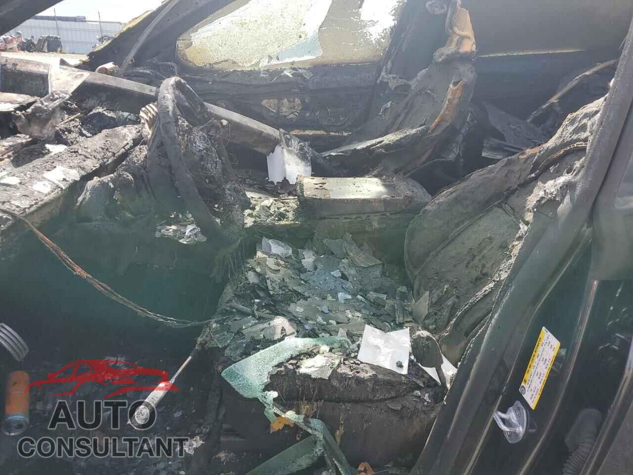 TESLA MODEL Y 2024 - 7SAYGDEF4RF131467