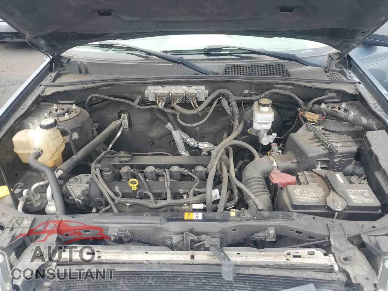 FORD ESCAPE 2010 - 1FMCU0D7XAKA31993