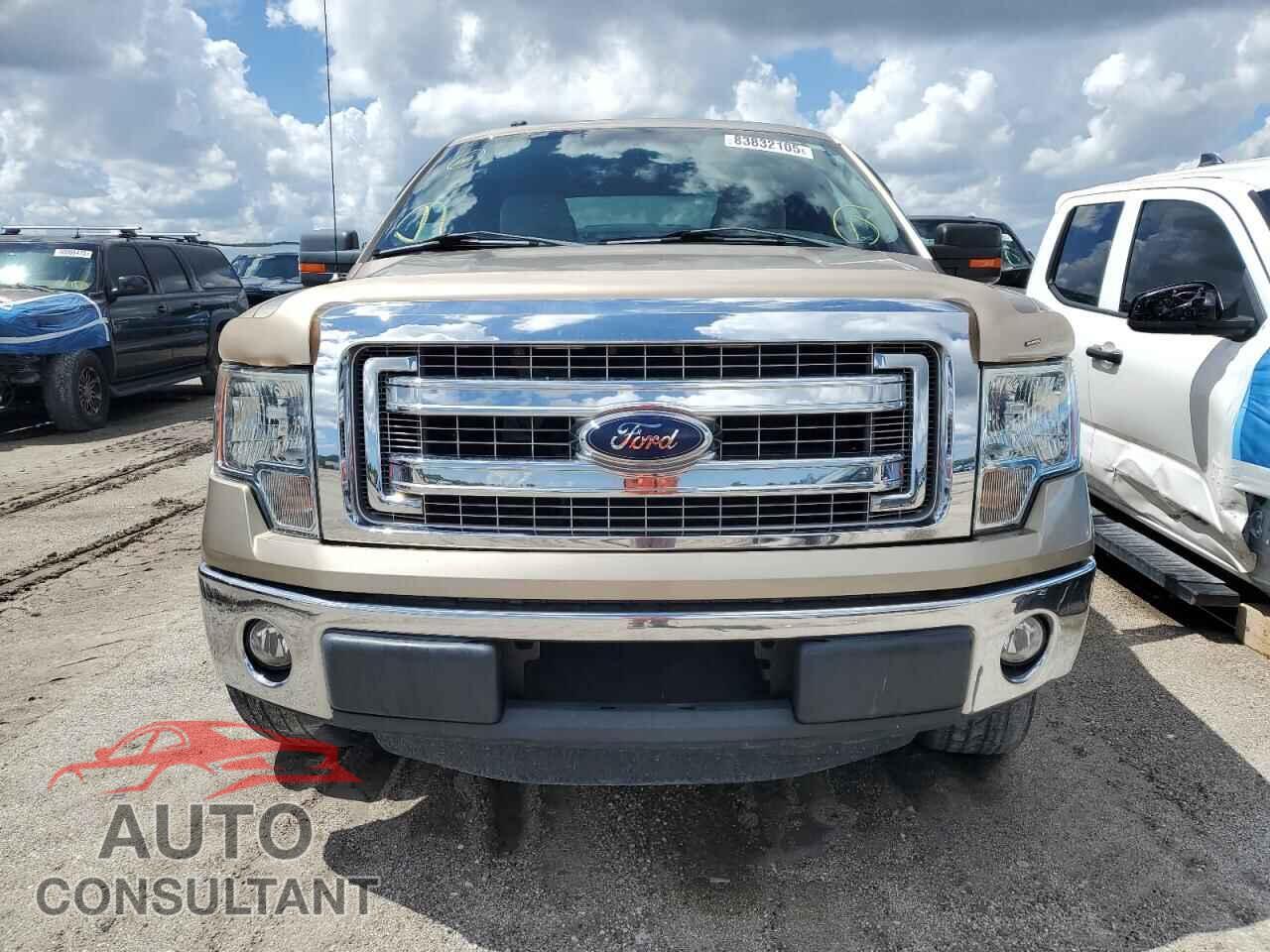 FORD F-150 2013 - 1FTEX1CM4DFD64236