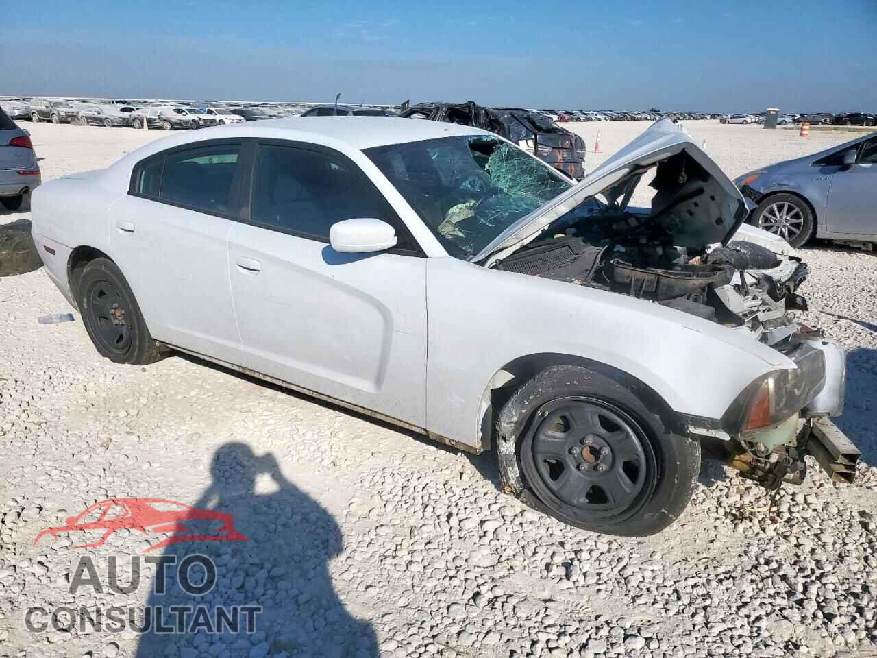 DODGE CHARGER 2013 - 2C3CDXAG4DH719649