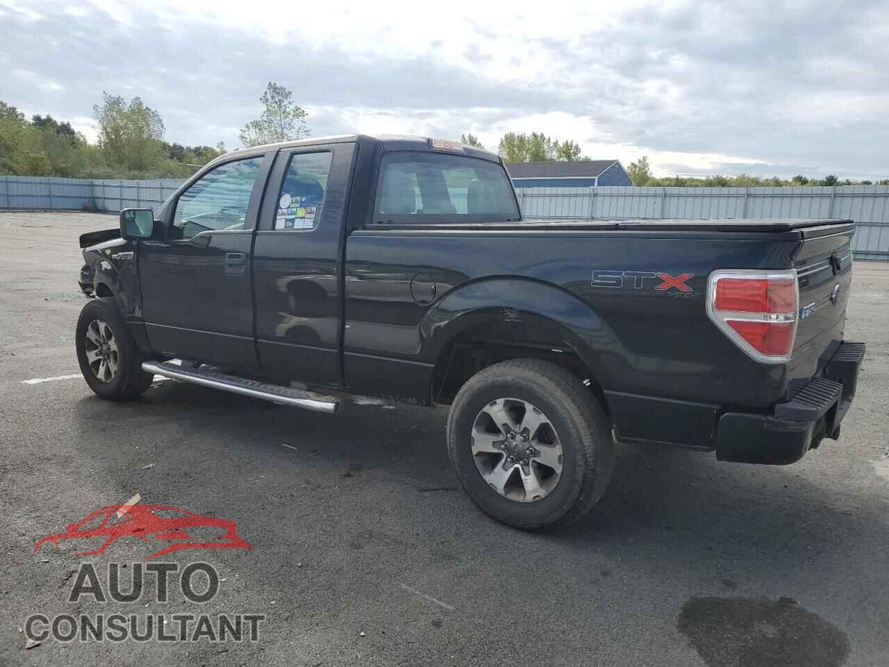 FORD F-150 2013 - 1FTFX1EF9DFD72982