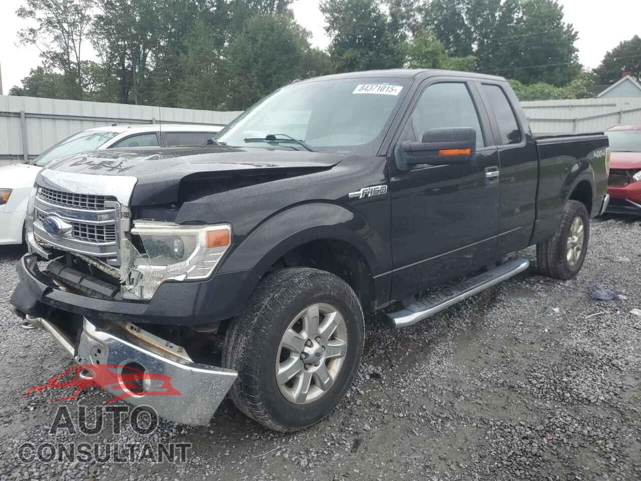 FORD F-150 2014 - 1FTFX1EF9EFA83666