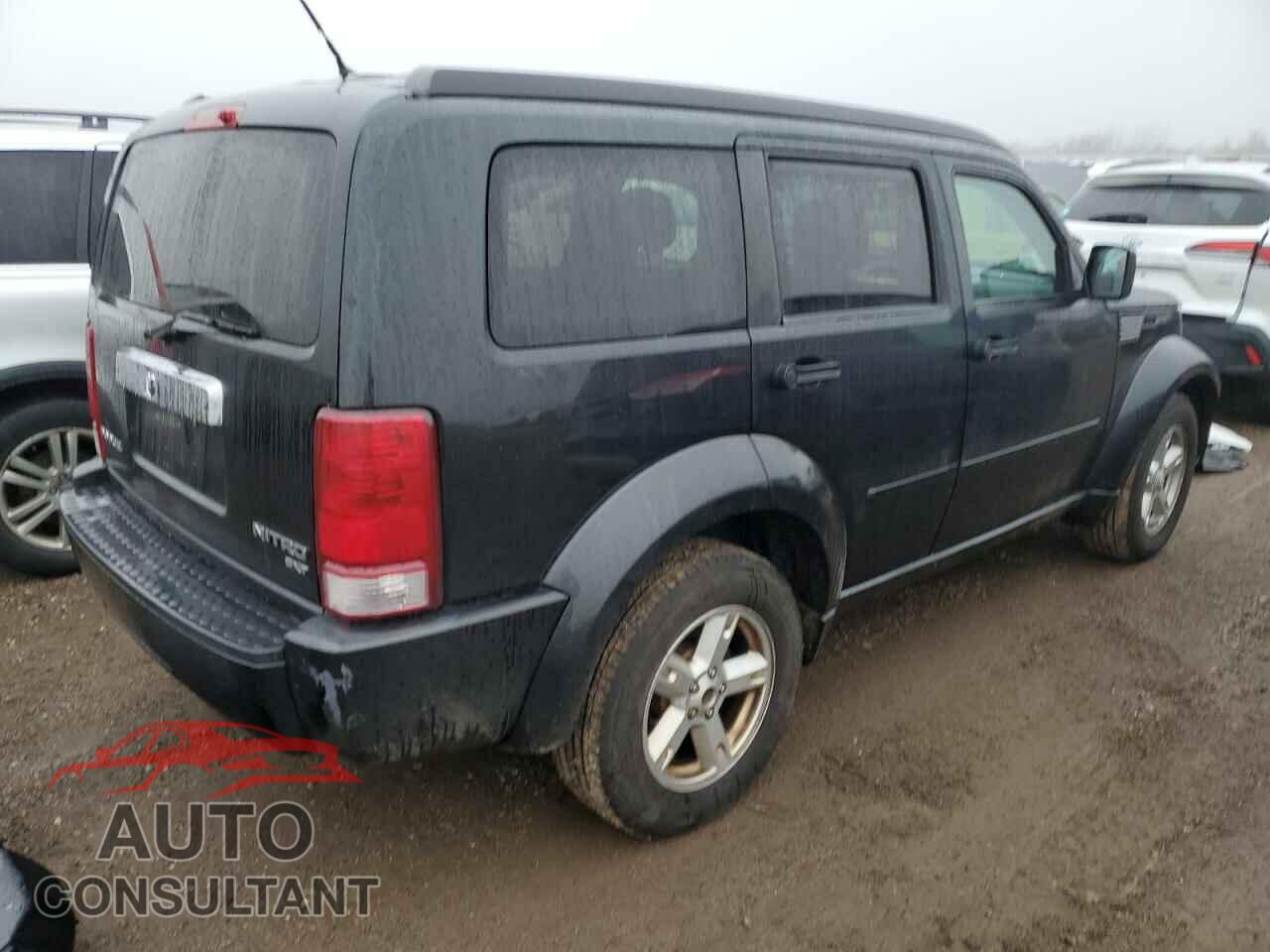 DODGE NITRO 2011 - 1D4PT5GK1BW544326