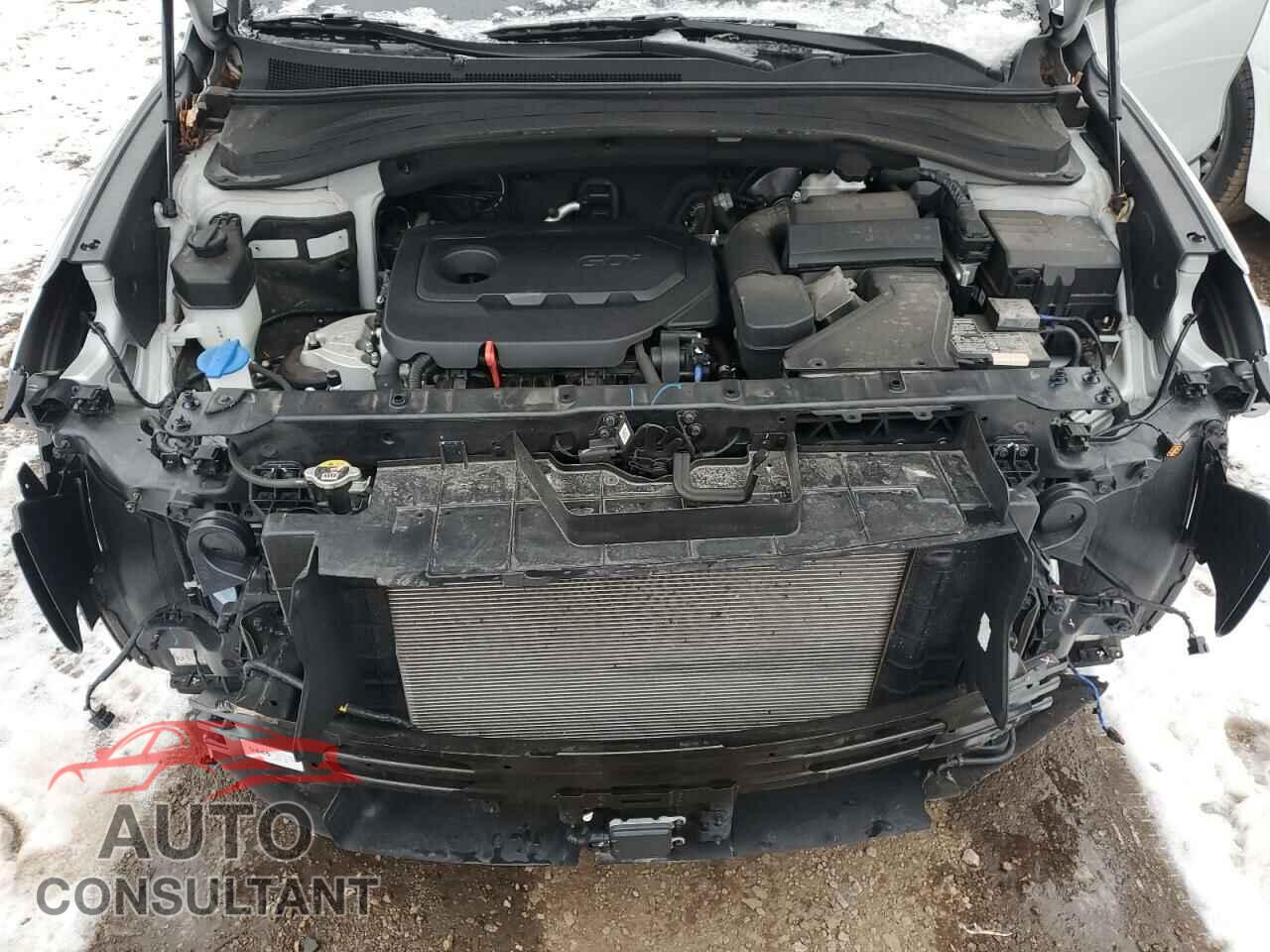 HYUNDAI SANTA FE 2019 - 5NMS33AD5KH065156