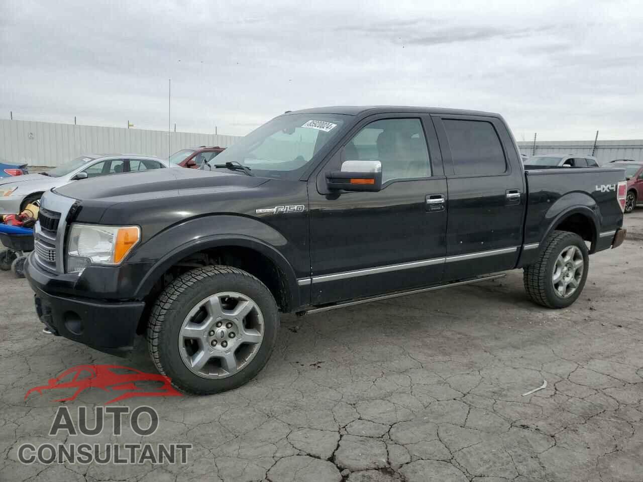 FORD F-150 2010 - 1FTFW1EV4AFB08400
