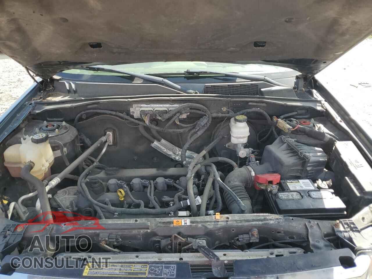 FORD ESCAPE 2011 - 1FMCU0D76BKA51224