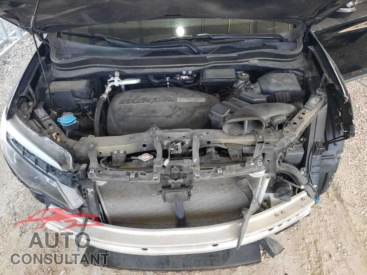HONDA PILOT 2019 - 5FNYF6H5XKB019101