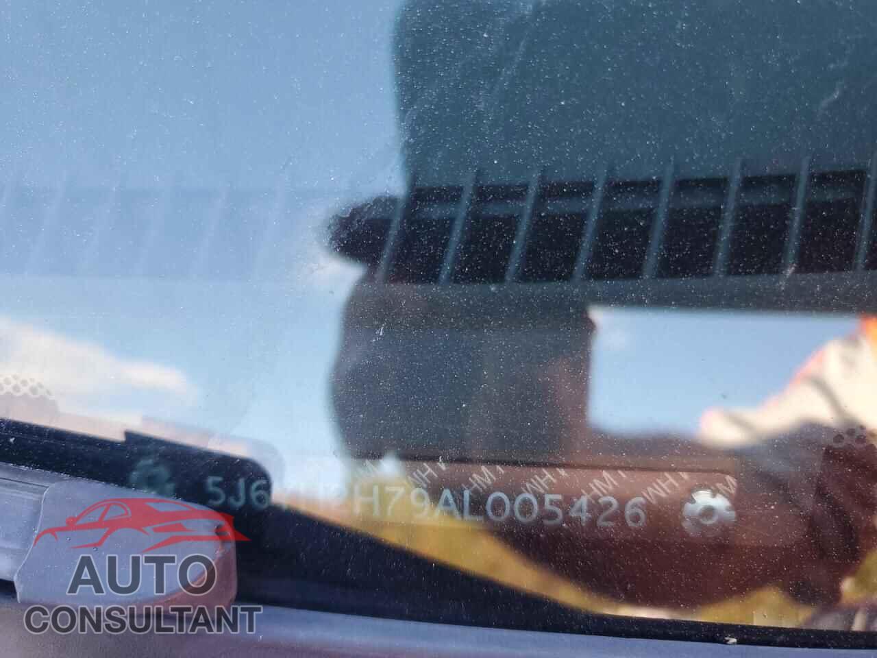 HONDA ELEMENT 2010 - 5J6YH2H79AL005426