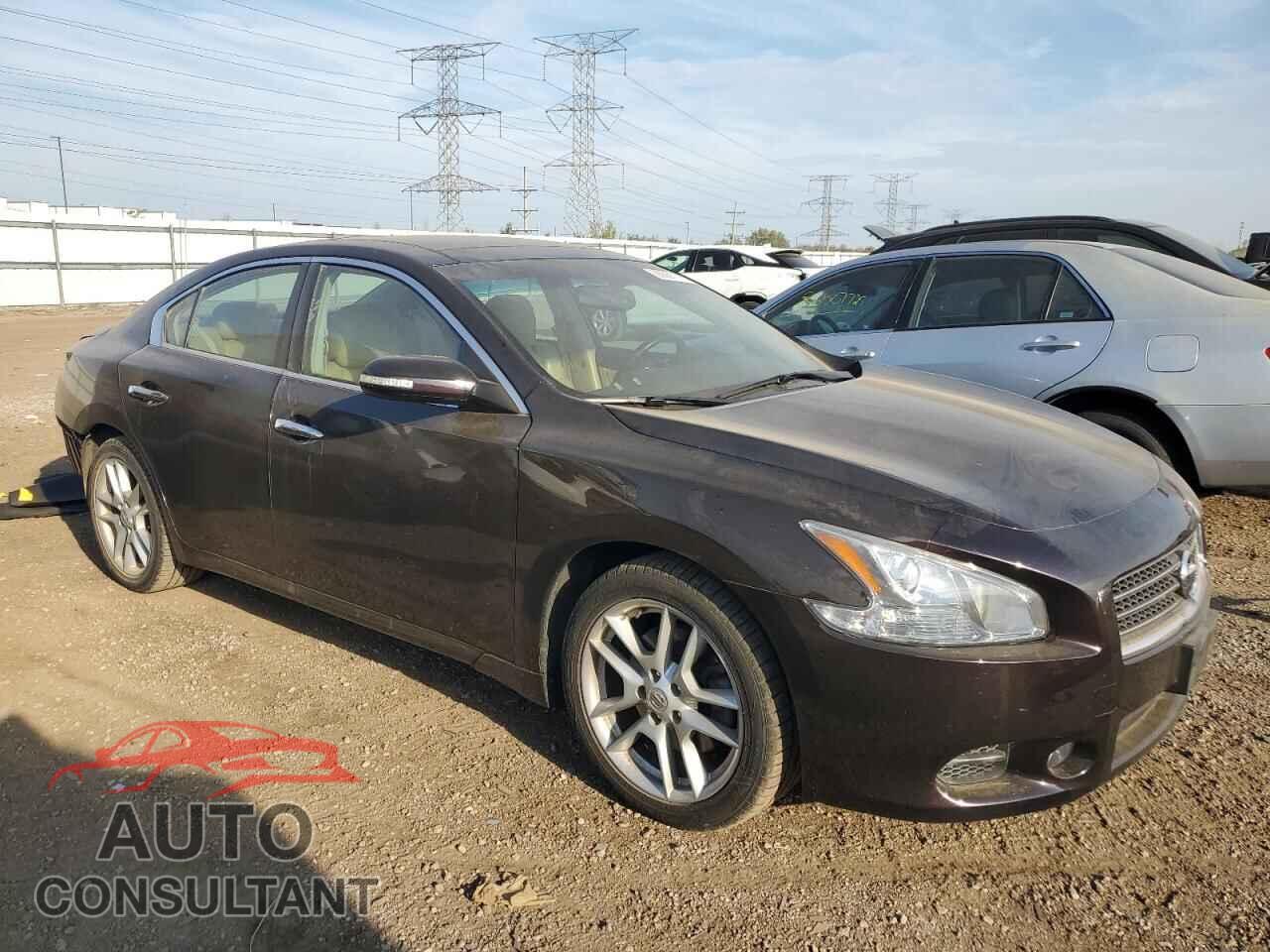 NISSAN MAXIMA 2010 - 1N4AA5AP5AC871069