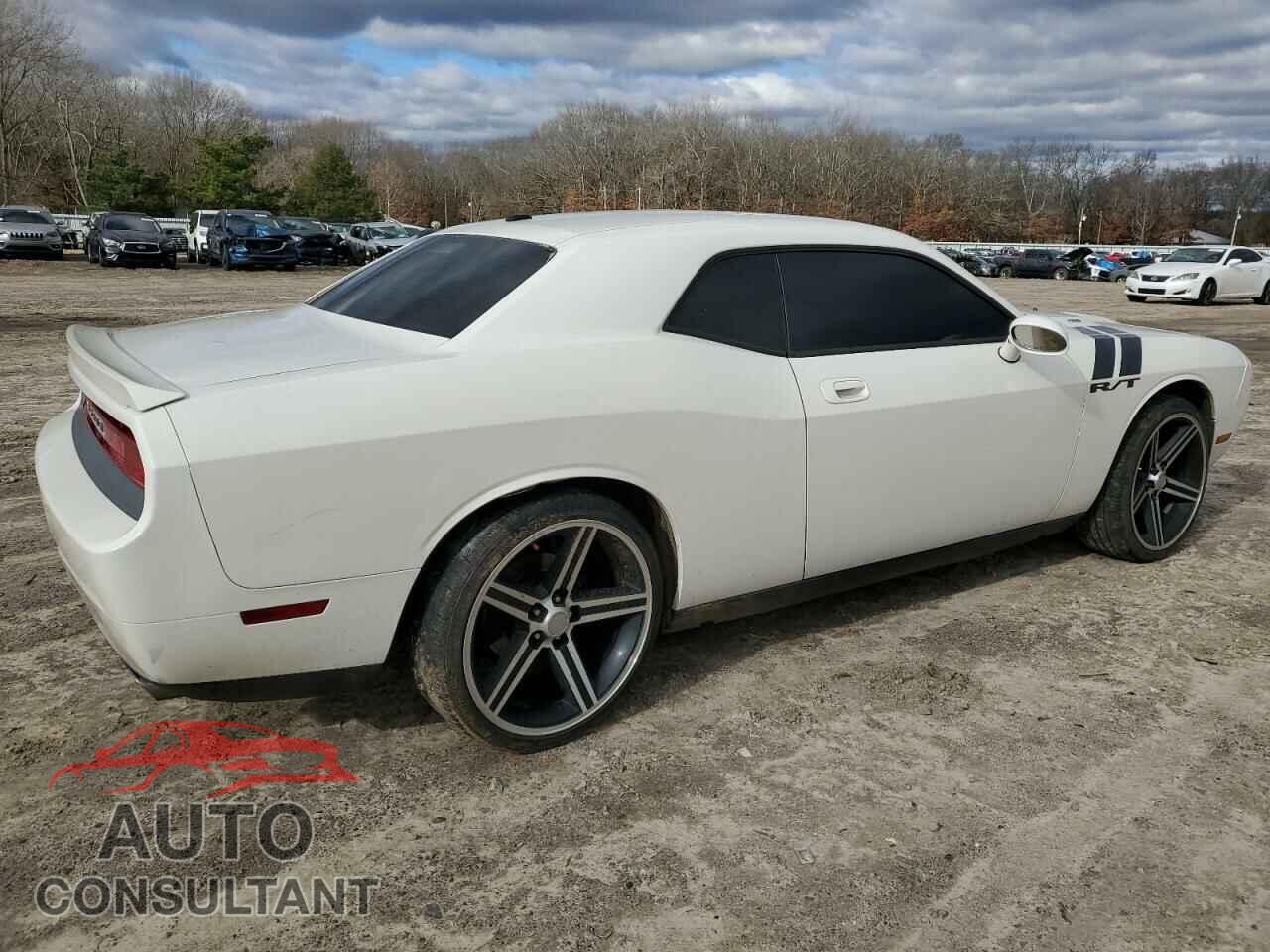 DODGE CHALLENGER 2010 - 2B3CJ5DT0AH114106