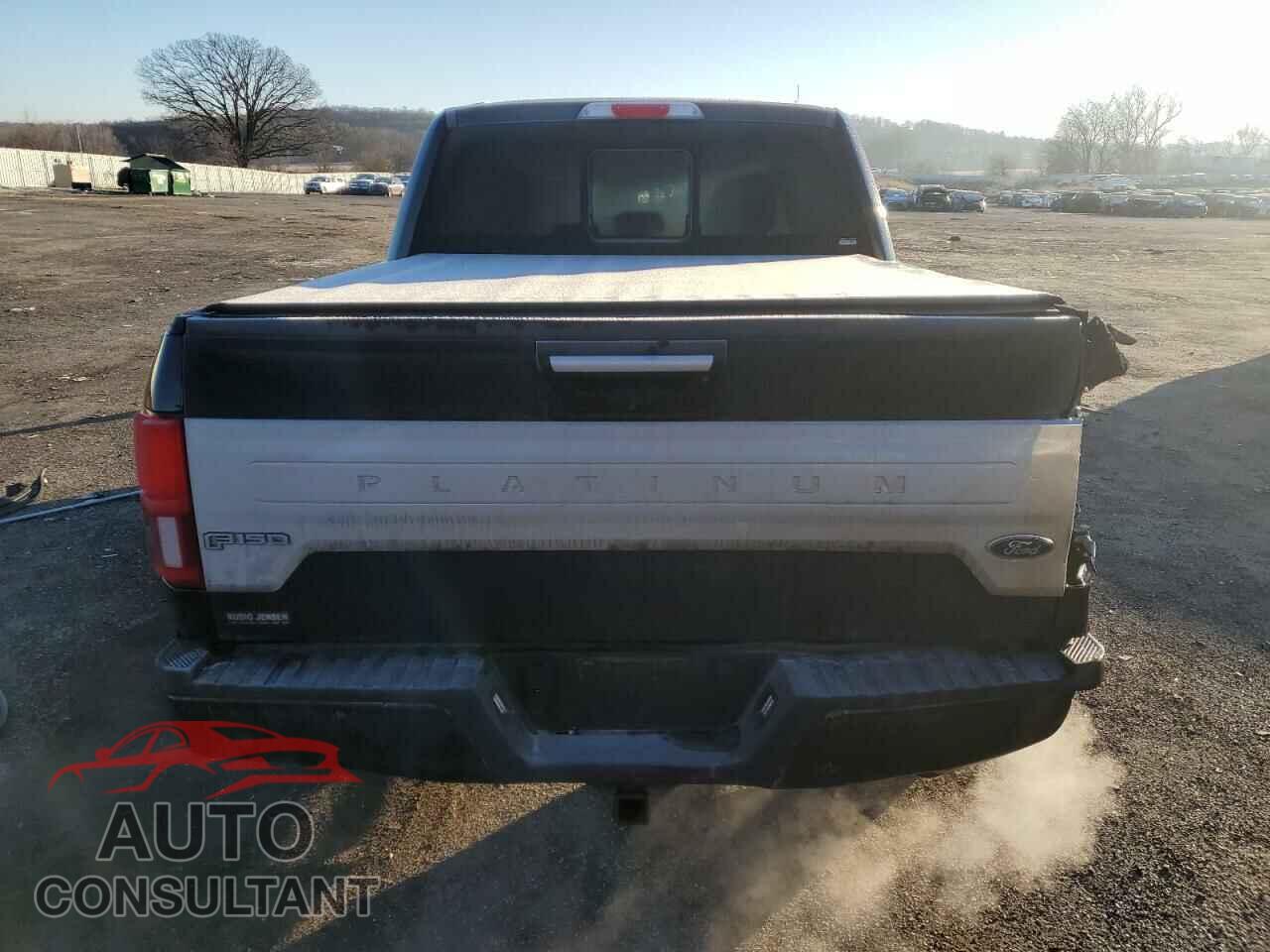 FORD F-150 2020 - 1FTEW1E53LFA10134